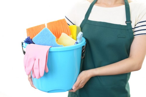 Professional cleaners in EC1 for homes and offices
