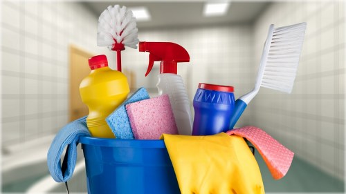 Professional carpet cleaning in an EC1 home interior
