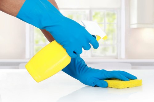 Deep cleaning service in a central London home