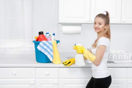 Cleaner assessing carpet cleaning risks before work