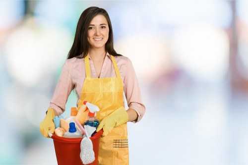 Professional cleaning for domestic and commercial carpets