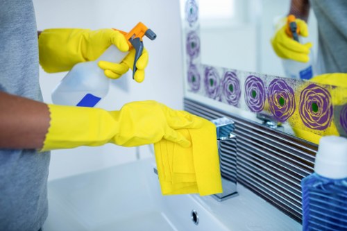 Eco-friendly oven cleaning tools and products