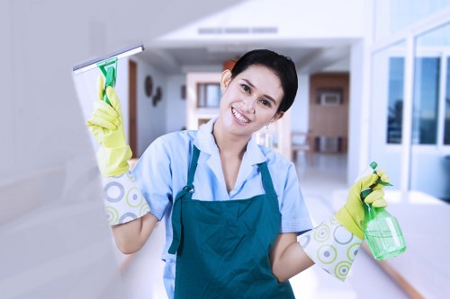 Local oven cleaner in EC1 servicing a modern home kitchen appliance