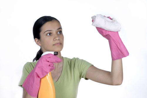 Professional cleaning tools arranged for a domestic cleaning job